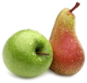 applen_paron applen_paron